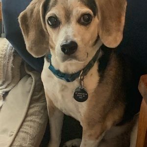 Meet your Posher, Janet